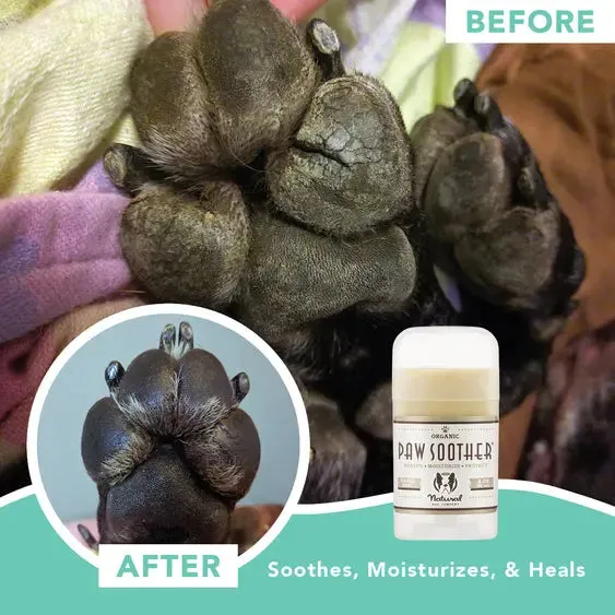 Natural Dog Company PAW SOOTHER® | All-Natural and Vegan Balm